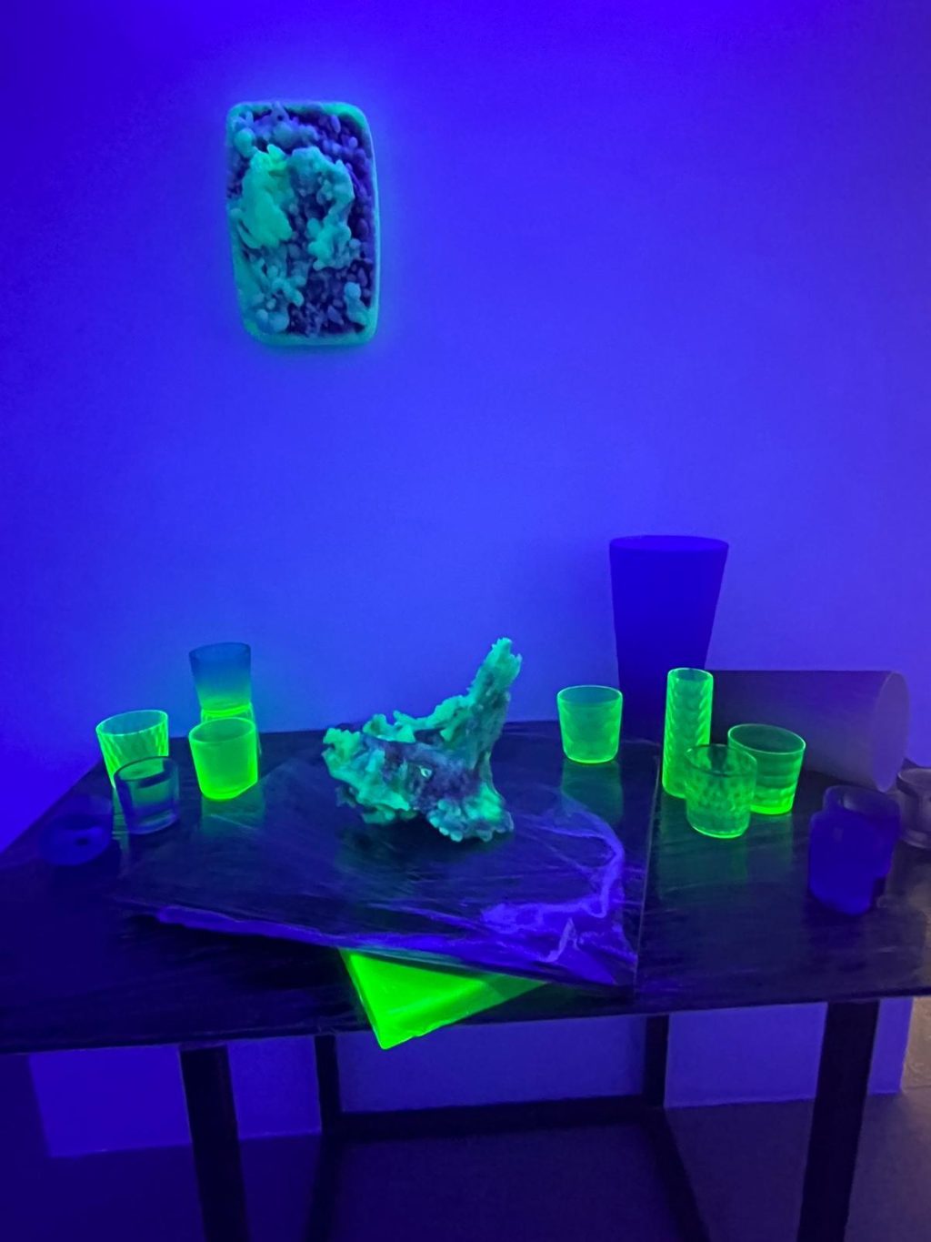 PHOTO 2026 02 05 10 03 40