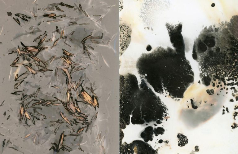 Fotografka se v rámci média fotografie vydává do rozličných experimentálních oblastí, jakými jsou strukáž, fytogram, koláž či propojení fotografie a textu