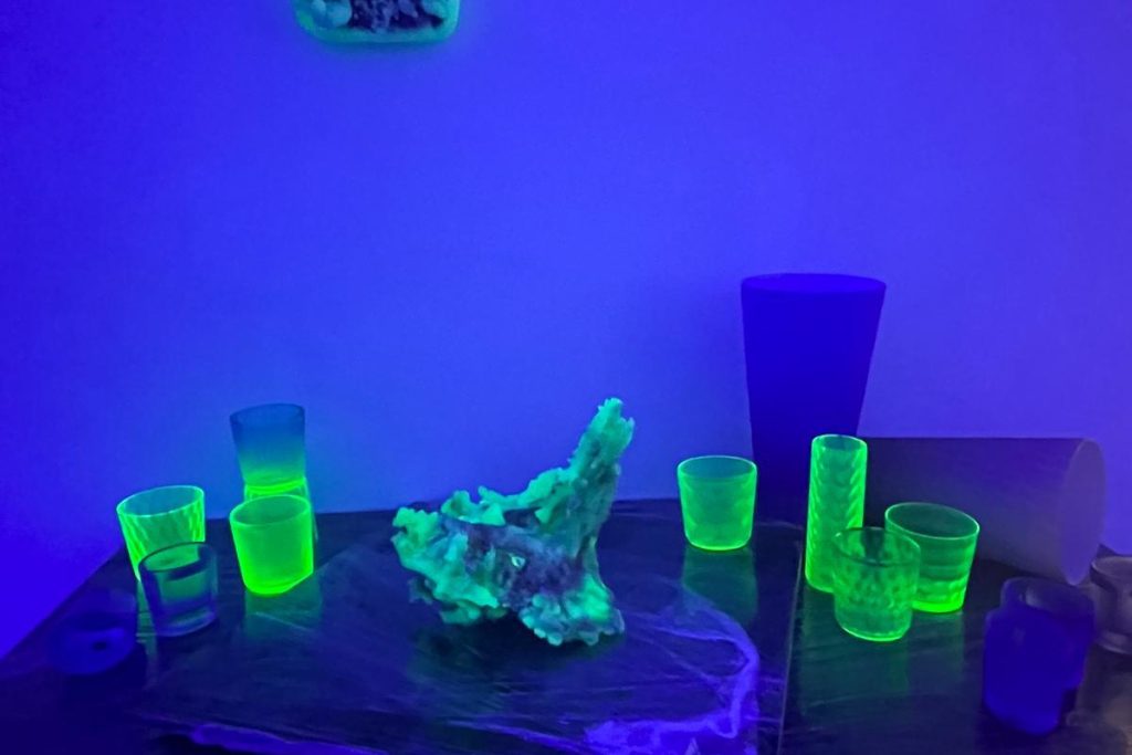 PHOTO 2026 02 05 10 03 40